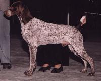 Pointer